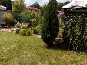 Prodej zahrady, Havířov - Šumbark, 290 m2