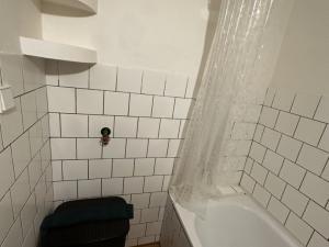 Pronájem bytu 2+1, Holasovice - Loděnice, 45 m2