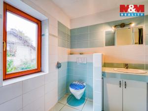 Pronájem rodinného domu, Plešnice, 94 m2