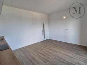 Pronájem bytu 2+kk, České Budějovice, Branišovská, 50 m2