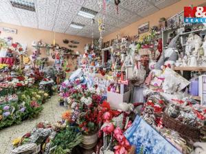 Prodej obchodního prostoru, Chomutov, Písečná, 51 m2