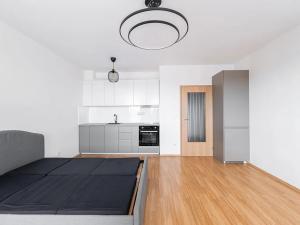 Pronájem bytu 1+kk, Praha - Michle, V dolině, 40 m2