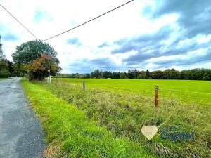 Prodej pozemku pro bydlení, Mariánské Lázně, 2253 m2