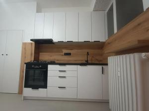 Pronájem bytu 1+1, Brno, Špitálka, 45 m2