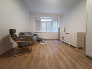 Pronájem bytu 1+1, Brno, Špitálka, 45 m2