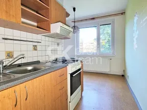Prodej bytu 1+1, Ostrava, Šeříková, 40 m2