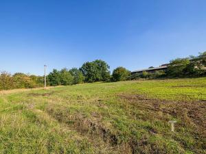 Prodej komerčního pozemku, Krhov, 2990 m2