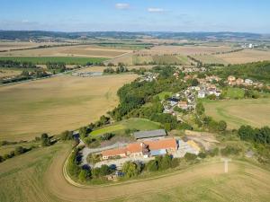 Prodej komerčního pozemku, Krhov, 2990 m2