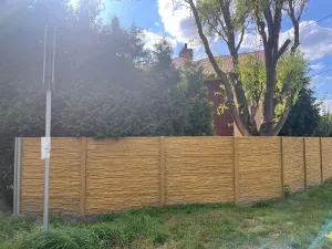 Dražba rodinného domu, Dolní Lutyně, Třanovského, 234 m2