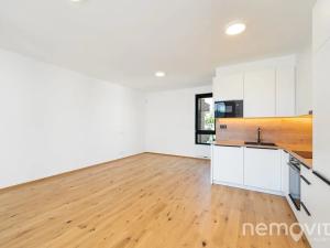 Pronájem bytu 2+kk, Praha - Nusle, Muzikova, 61 m2