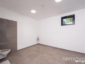 Pronájem bytu 2+kk, Praha - Nusle, Muzikova, 61 m2