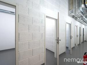 Pronájem bytu 2+kk, Praha - Nusle, Muzikova, 61 m2