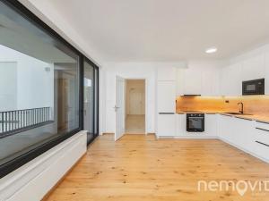 Pronájem bytu 2+kk, Praha - Nusle, Muzikova, 57 m2