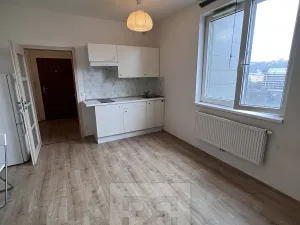 Pronájem bytu 1+kk, Praha - Vysočany, Freyova, 33 m2