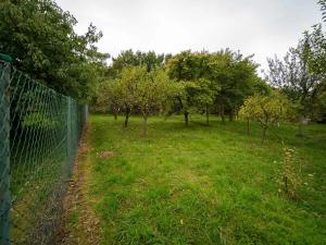 Prodej chalupy, Drahanovice, 55 m2