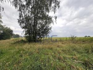 Prodej komerčního pozemku, Lučina, 2602 m2