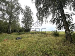 Prodej komerčního pozemku, Lučina, 2602 m2