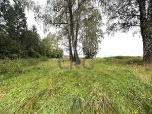 Prodej komerčního pozemku, Lučina, 2602 m2