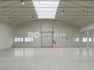 Pronájem skladu, Holubice, 1124 m2