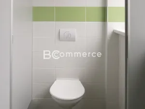 Pronájem skladu, Holubice, 1124 m2