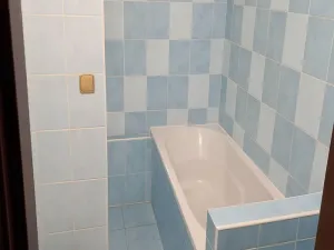 Pronájem bytu 1+1, Zlín, Dlouhá, 33 m2