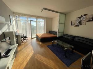 Pronájem bytu 1+kk, Praha, Běchorská, 42 m2