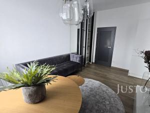 Pronájem bytu 1+1, Písek, Vladislavova, 38 m2