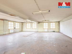 Pronájem výrobních prostor, Krásná Lípa, Bezručova, 5000 m2