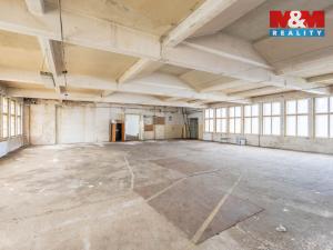 Pronájem výrobních prostor, Krásná Lípa, Bezručova, 5000 m2