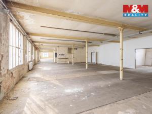 Pronájem výrobních prostor, Krásná Lípa, Bezručova, 5000 m2