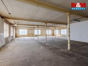 Pronájem výrobních prostor, Krásná Lípa, Bezručova, 5000 m2