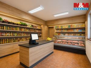 Prodej obchodního prostoru, Velká nad Veličkou, 187 m2