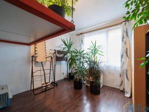 Prodej bytu 3+1, Vysoké Mýto, Ležáků, 72 m2