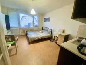 Prodej bytu 1+kk, Liberec, Šimáčkova, 32 m2