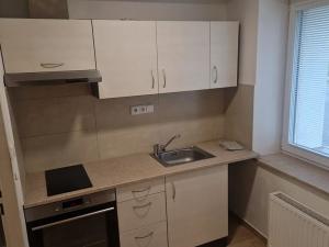 Pronájem bytu 1+kk, Zápy, 29 m2