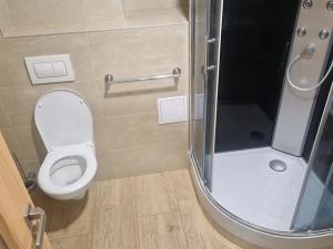 Pronájem bytu 1+kk, Zápy, 29 m2