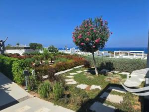 Prodej bytu 2+1, Agios Amvrosios Keryneias, Kypr, 60 m2