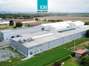 Prodej výrobních prostor, Horka nad Moravou, Družstevní, 10303 m2