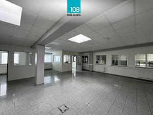 Prodej výrobních prostor, Horka nad Moravou, Družstevní, 10303 m2