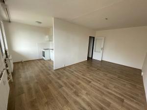 Pronájem bytu 1+1, Litvínov, Bezručova, 45 m2