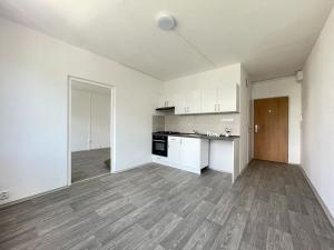 Pronájem bytu 1+1, Litvínov, Rooseveltova, 37 m2