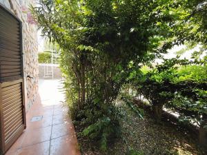 Prodej domu, Diamante (Cirella), Kalábrie, Itálie, 80 m2