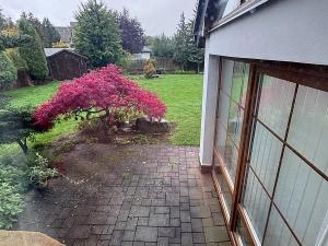 Prodej rodinného domu, Mariánské Lázně, 334 m2