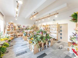 Prodej rodinného domu, Ostrava - Mariánské Hory, 28. října, 658 m2