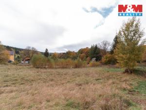 Prodej pozemku pro bydlení, Podhradí, 1091 m2