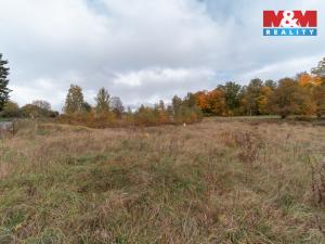 Prodej pozemku pro bydlení, Podhradí, 1006 m2