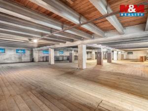 Prodej zemědělského objektu, Křešice - Sedlec, 2000 m2