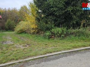 Prodej louky, Jedlí, 7881 m2