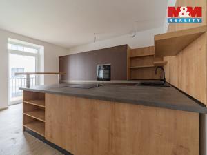 Pronájem bytu 4+kk, Cheb, Břehnická, 112 m2