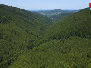 Prodej lesa, Nýdek, 207244 m2